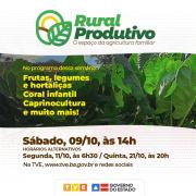 WhatsApp Image 2021-10-08 at 14.48.00.jpeg