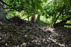 WhatsApp Image 2021-10-19 at 10.17.16 (1).jpeg