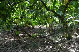 WhatsApp Image 2021-10-19 at 10.17.16.jpeg