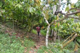 WhatsApp Image 2021-10-19 at 10.17.20 (1).jpeg