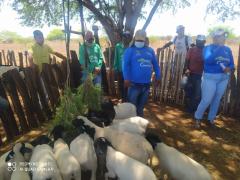 WhatsApp Image 2021-10-22 at 18.46.57.jpeg