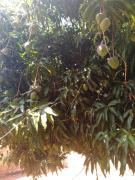 WhatsApp Image 2021-10-29 at 13.42.46.jpeg