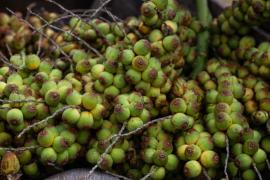 WhatsApp Image 2021-05-07 at 17.39.39_0.jpeg