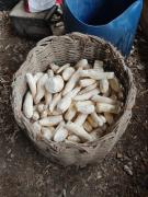 WhatsApp Image 2021-11-30 at 19.49.44 (2).jpeg