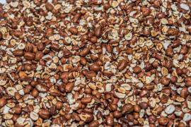 WhatsApp Image 2021-12-13 at 13.41.49.jpeg