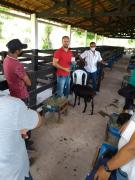 WhatsApp Image 2021-12-16 at 16.42.14.jpeg