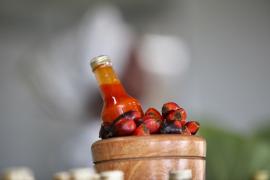 WhatsApp Image 2021-12-16 at 16.45.47.jpeg