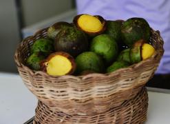 WhatsApp Image 2021-12-17 at 14.52.30.jpeg