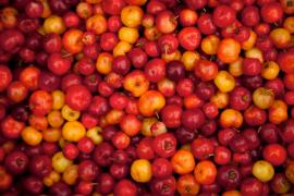 WhatsApp Image 2022-01-12 at 16.43.09 (2).jpeg