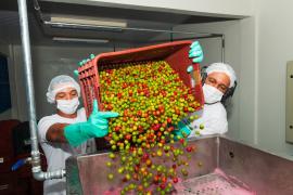 WhatsApp Image 2022-01-12 at 16.47.44.jpeg