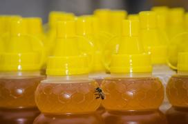 WhatsApp Image 2022-01-14 at 15.30.18.jpeg