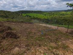 WhatsApp Image 2022-02-02 at 17.00.49.jpeg