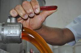 WhatsApp Image 2022-02-04 at 14.33.37.jpeg