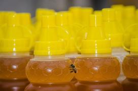 WhatsApp Image 2022-02-04 at 14.51.58.jpeg