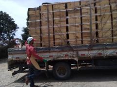 WhatsApp Image 2022-02-10 at 11.33.35.jpeg