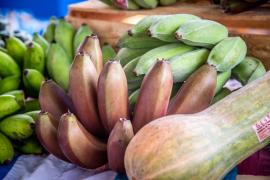 WhatsApp Image 2022-02-17 at 09.13.05 (2).jpeg