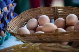 WhatsApp Image 2022-02-17 at 09.13.07 (1).jpeg