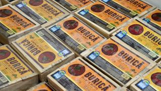 WhatsApp Image 2022-03-28 at 09.49.15 (2).jpeg