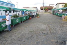 WhatsApp Image 2022-04-05 at 16.55.02 (6).jpeg