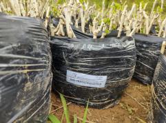 WhatsApp Image 2022-04-07 at 16.50.18.jpeg