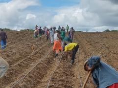 WhatsApp Image 2022-04-07 at 16.50.20.jpeg