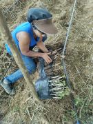 WhatsApp Image 2022-04-07 at 16.50.22.jpeg