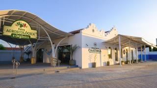 WhatsApp Image 2022-04-25 at 15.28.16 (4).jpeg