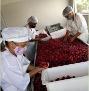 WhatsApp Image 2022-04-25 at 16.52.30.jpeg