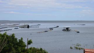 WhatsApp Image 2022-04-28 at 14.58.11.jpeg