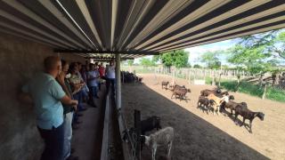 WhatsApp Image 2022-05-05 at 16.03.53.jpeg