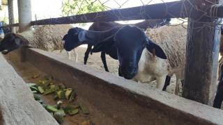 WhatsApp Image 2022-05-05 at 16.03.54.jpeg