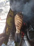 WhatsApp Image 2022-05-18 at 15.49.28.jpeg