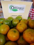 WhatsApp Image 2022-06-28 at 09.54.05.jpeg