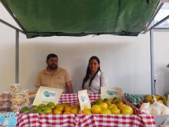 WhatsApp Image 2022-06-28 at 09.54.08.jpeg