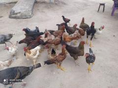 WhatsApp Image 2022-11-04 at 13.09.29 (1).jpeg