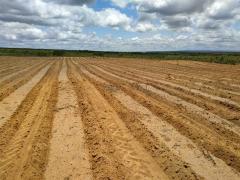 WhatsApp Image 2022-11-23 at 10.40.02.jpeg