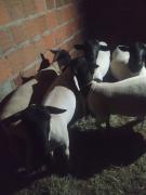 WhatsApp Image 2022-12-05 at 11.26.03.jpeg