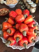 WhatsApp Image 2022-12-08 at 12.53.54.jpeg