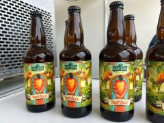 WhatsApp Image 2022-12-16 at 17.26.30 (1).jpeg