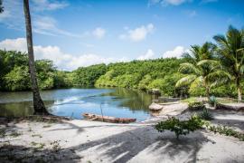 CANAVIEIRAS - RESERVA EXTRATIVISTA-1_Easy-Resize.com_.jpg