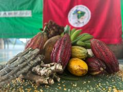 WhatsApp Image 2023-01-13 at 11.24.02.jpeg