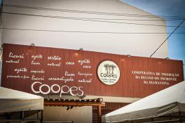 WhatsApp Image 2023-01-26 at 18.06.26(4).jpeg