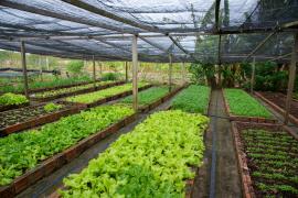 COOPSERTAO - PINTADAS-15.jpg