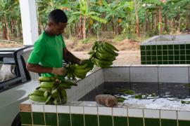 Coopatan - Presidente Tancredo Neves-3.jpg