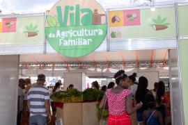 VILA DA AGRICULTURA FAMILIAR EM SANTO AMARO-BA-11.jpg