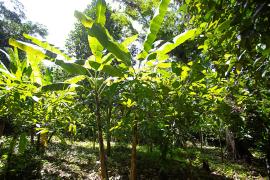 WhatsApp Image 2023-02-01 at 17.00.18.jpeg