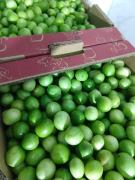 WhatsApp Image 2023-02-06 at 10.51.26.jpeg