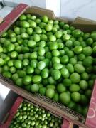 WhatsApp Image 2023-02-06 at 10.51.27 (1).jpeg