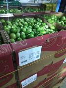 WhatsApp Image 2023-02-06 at 10.51.27.jpeg