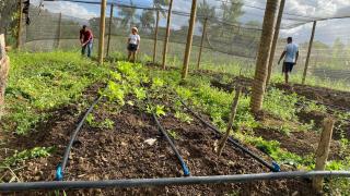 WhatsApp Image 2023-02-09 at 17.58.18.jpeg